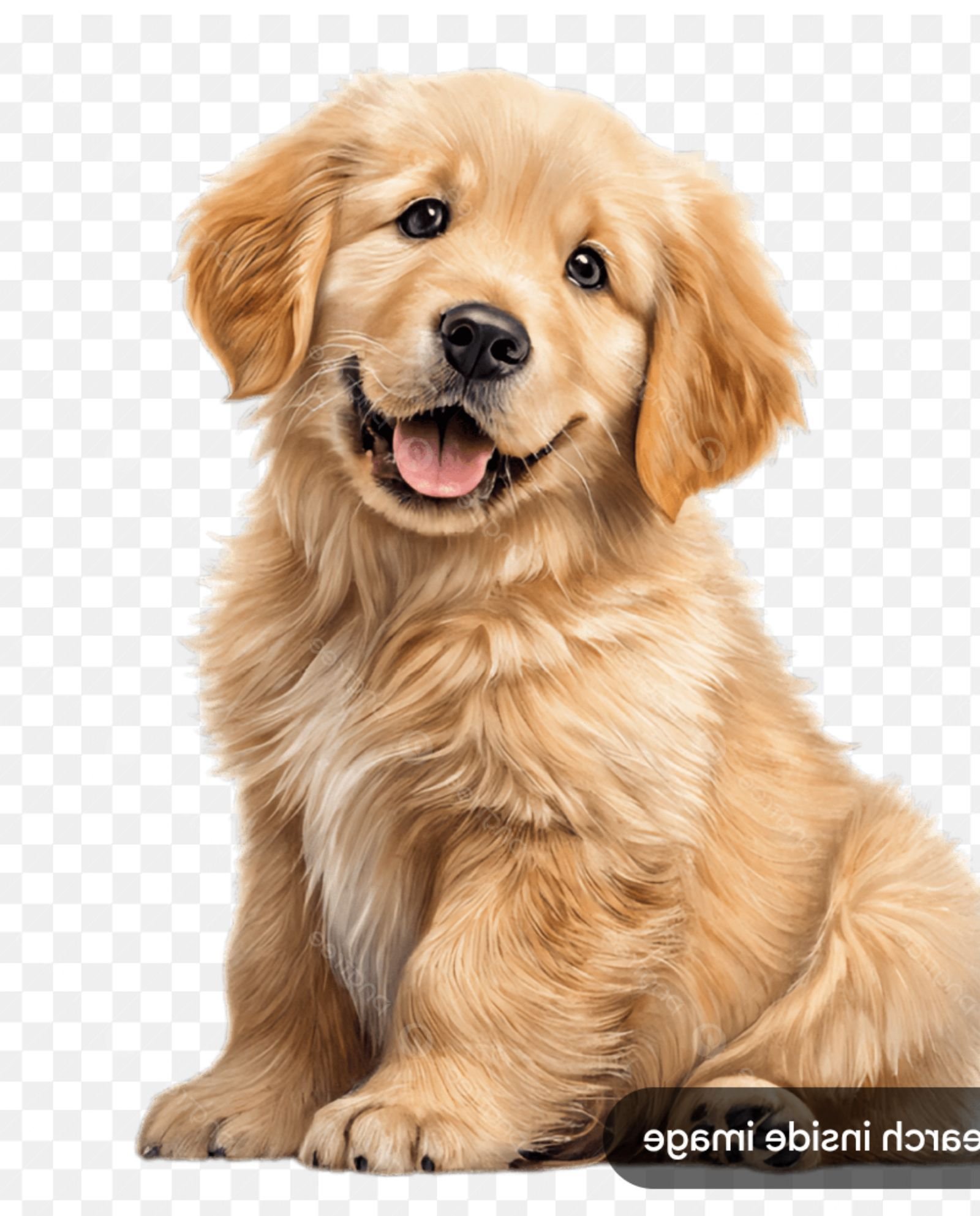 No image found